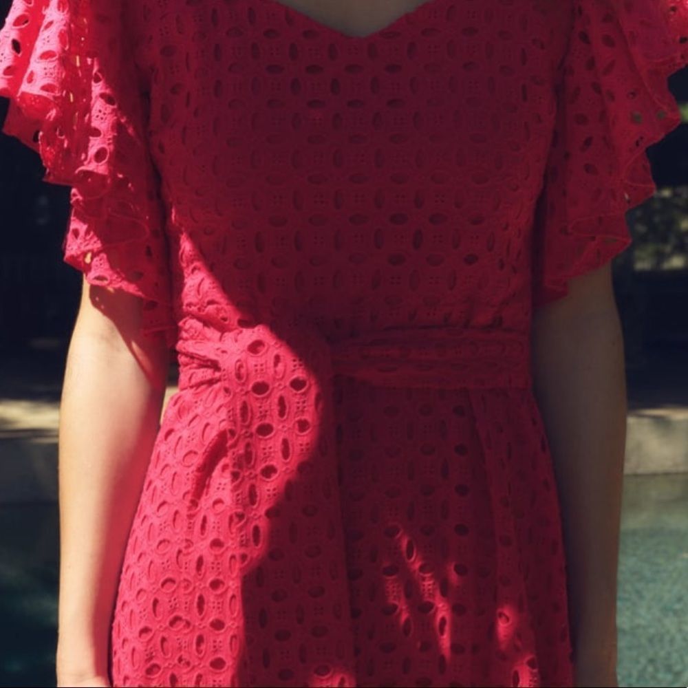 Zara Fuchsia Openwork Embroidered Midi Dress - Picture 4 of 12